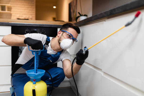 Best Emergency Pest Control  in Los Ranchos De Albuquerque, NM